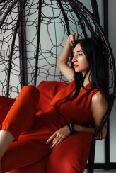 sav_anet