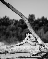 Darabi Katherina